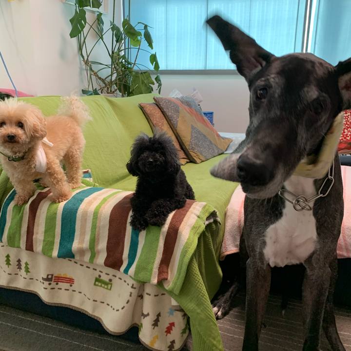 7ddab57b b619 465d a704 112bb8cdf72e 1599172970054