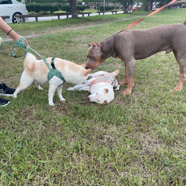 7ddaf0c5 034c 43bb 8bee c9feb8d32df6 1659273144903