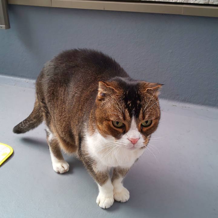 7ddb0caa 1e67 4115 8ed7 1a5b544afc26 1710389281047