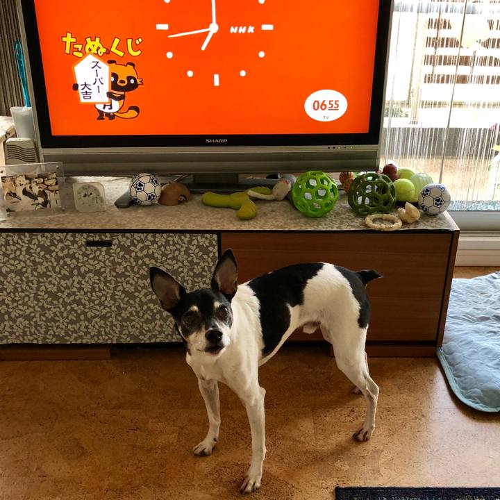 7ddb4ee1 1032 4a03 bc2d 6d5d140802b9 1560723606173