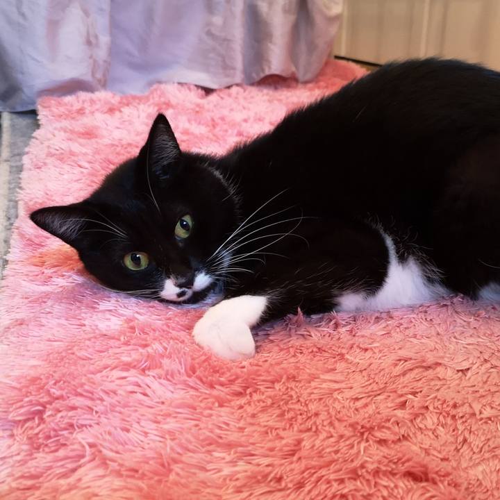 7ddb6ccf 1339 449a aa37 bf9e92f270be 1543993934728