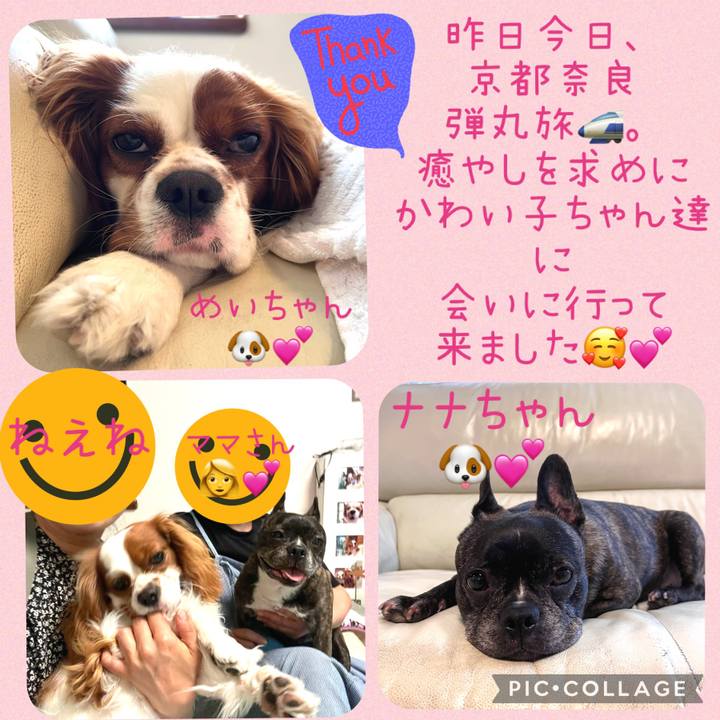 7ddb81df 9045 4855 aa8d 065e0fd170cf 1687357051732