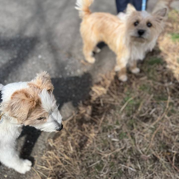 7ddbcc97 1ca7 4dde 9b61 62116569e948 1772159989829