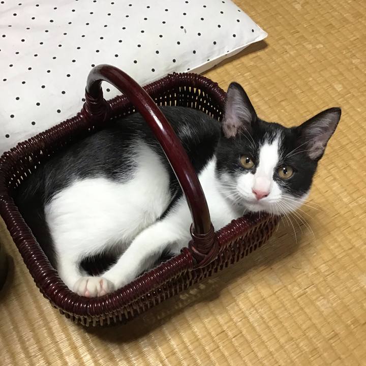 7ddbcf2b 4537 42da 998b e973020c2110 1628470709645