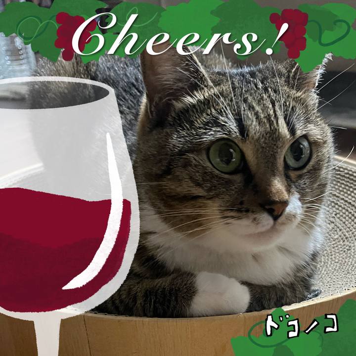 7ddbf7b4 f2b2 4bea 9794 e6f7181b8f53 1761874715445