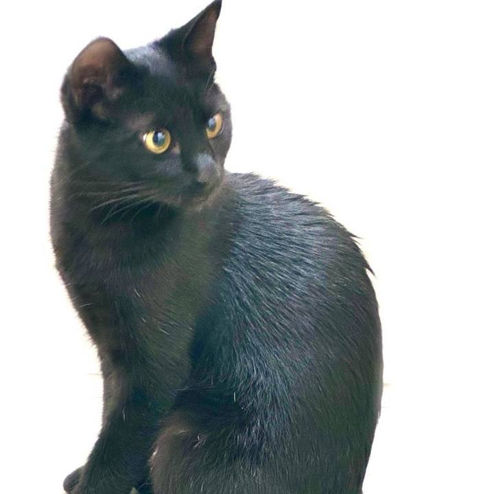 7ddc3104 d8d9 4693 93a0 5d79bbdc4e67 1731071426079