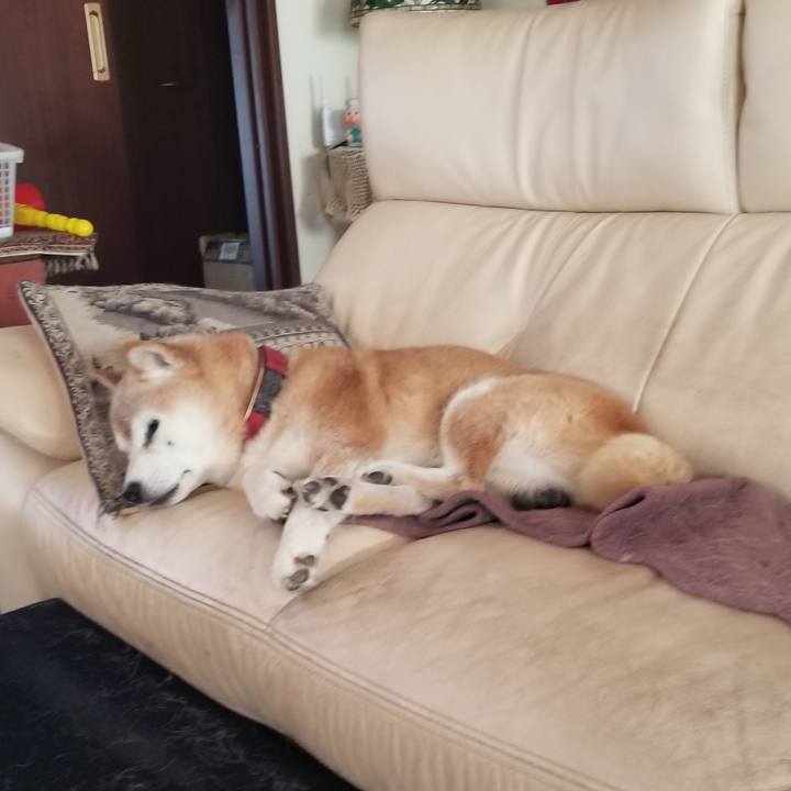 7ddc381d 1600 4a2f a9e8 8f2dbbb00391 1756078016660