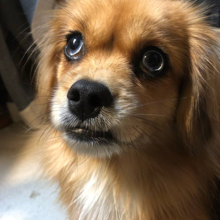 7ddc569e ea5f 4769 b5b7 5ce0b2f7b31a 1544567024851