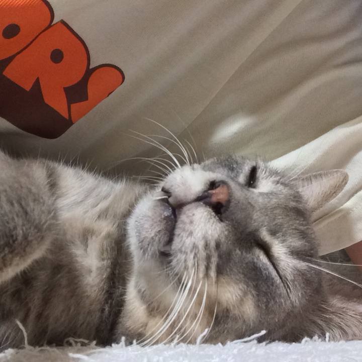 7ddc7044 4ffa 4355 a261 29514381c9f0 1533937098213