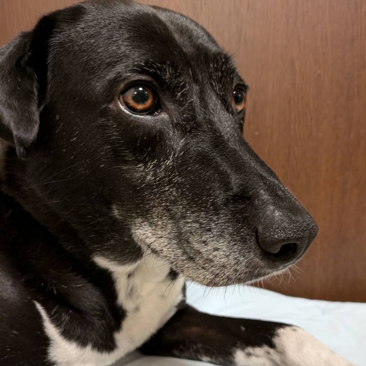 7ddc8c49 a98d 4c50 b43c b0a47e4c073b 1723287088808