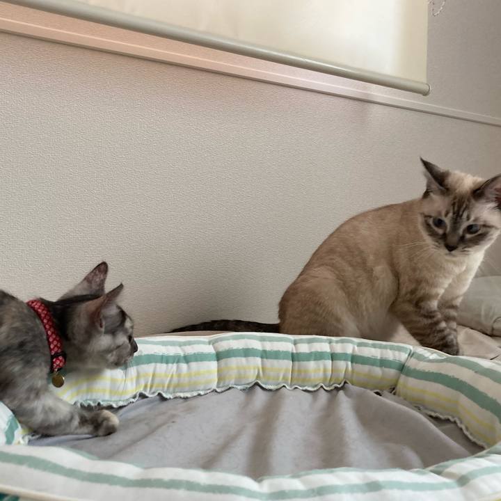 7ddc986c a0d2 4f8e 8a0f 61b692f39563 1693959674077