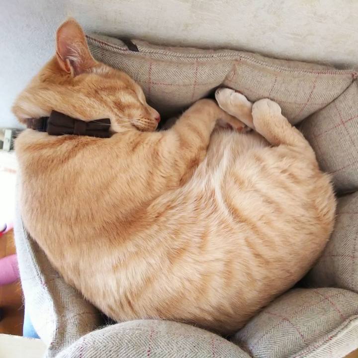 7ddca476 037f 463b b673 420fd1ccf77c 1642828260787