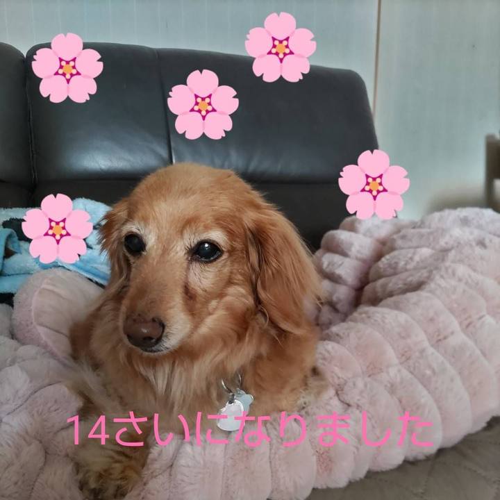 7ddca697 dc3e 4ba3 9e82 a60aa6ffb07b 1678430768843