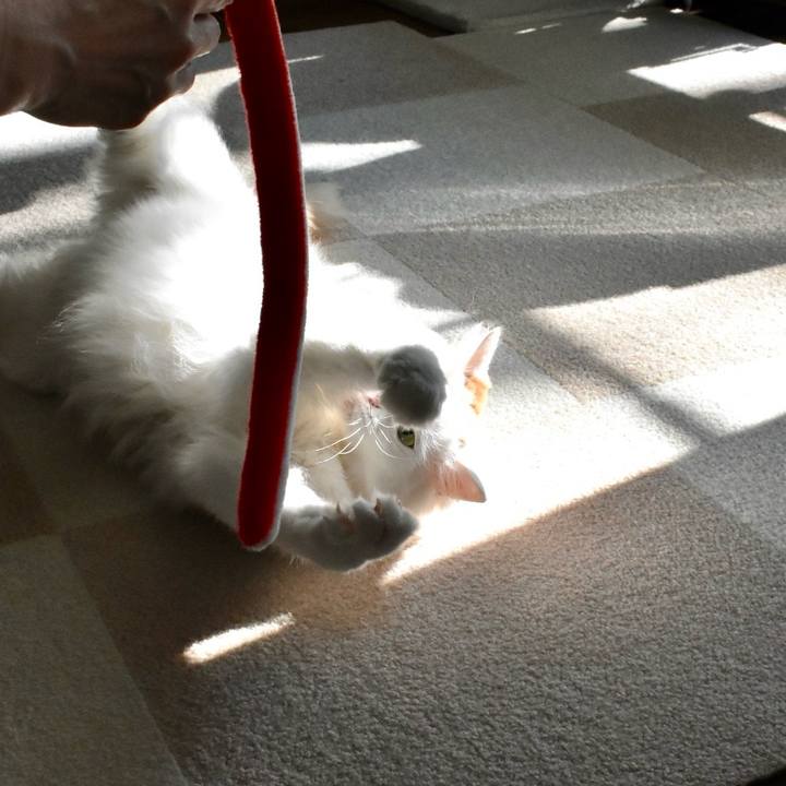 7ddcabc2 52e6 46e9 82bd 30f972dace94 1767493956154