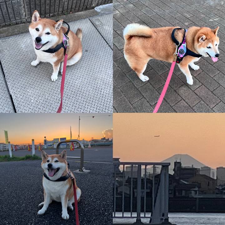 7ddcbc61 8ccc 457a b678 8c64b2051219 1693907703733