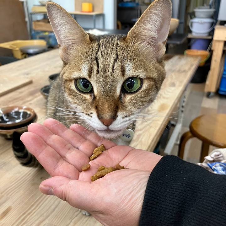 7ddccd9a fabf 4133 8a6b 42c211426757 1700456379004