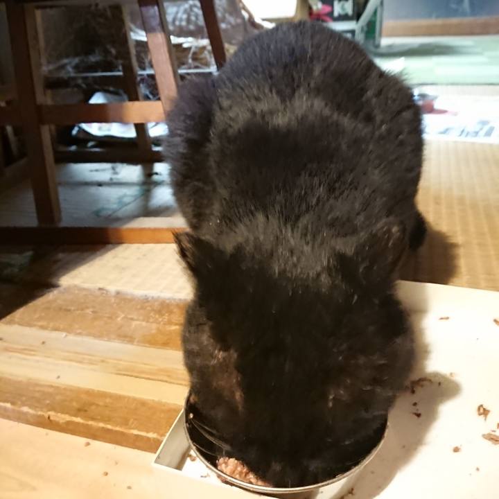 7ddcf66a 3f8c 4a09 9c92 3ca33c29d6ea 1616753323471