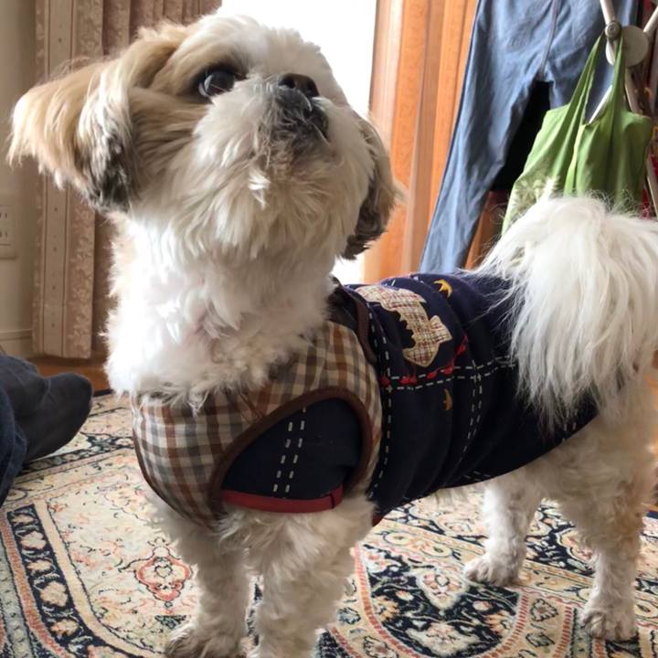 7ddd441e 39fb 4f80 8cea 018a79533352 1521857323593