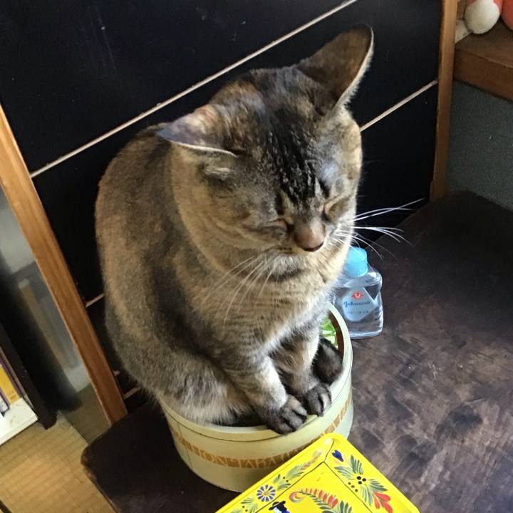 7ddd47f6 3b3f 4f04 a028 2443ceca8e8d 1708422782584