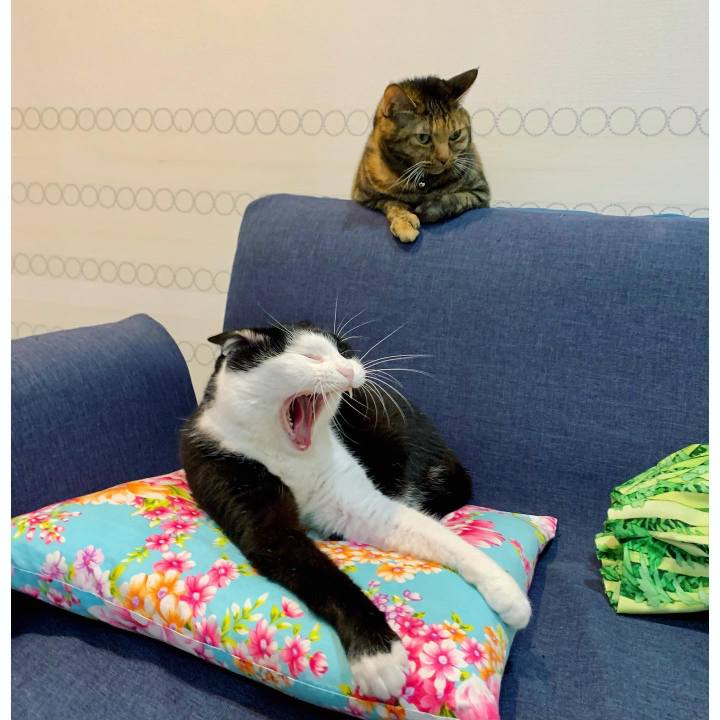 7ddd4d4d 7fda 4f67 97c4 57b03e8bc010 1640740755740