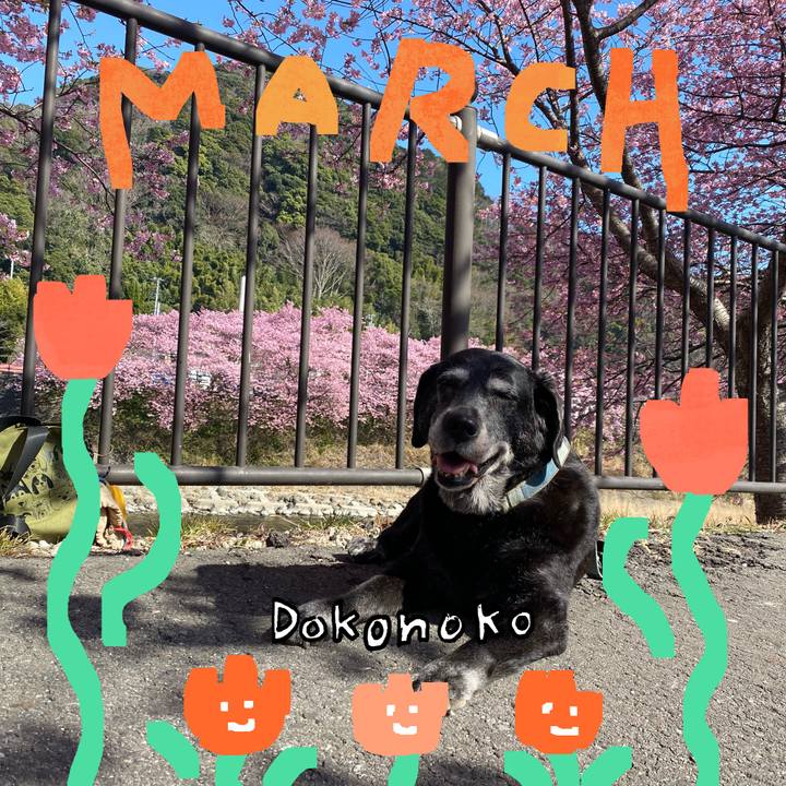 7ddd60d3 8abd 41f7 83e8 4955a0347cf5 1741064634631