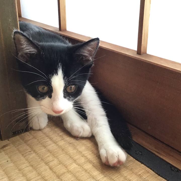 7ddd8f8b c4e6 4401 9776 6938f83e6c02 1626760685317