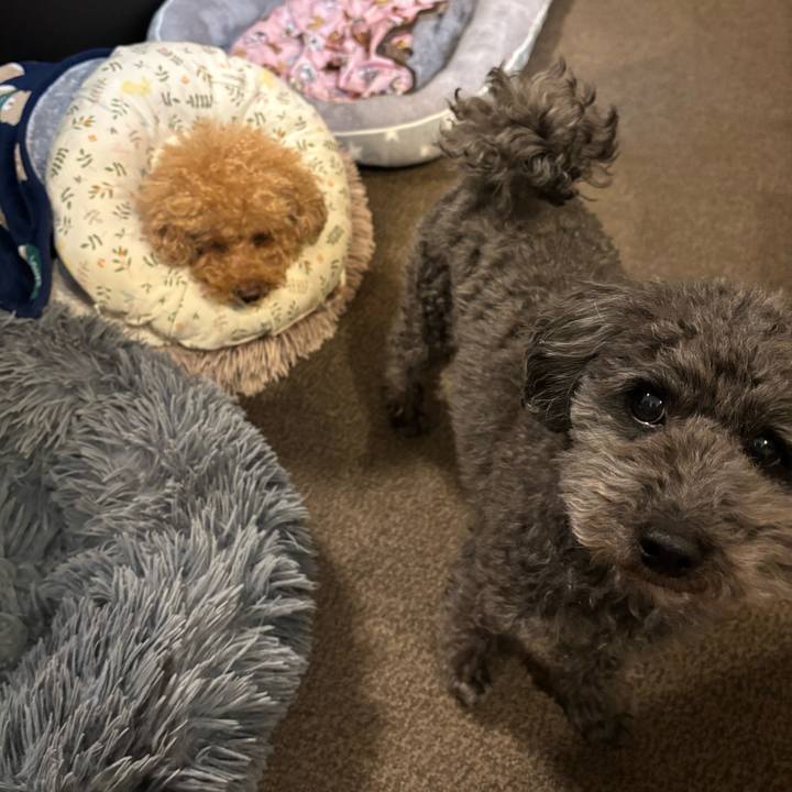 7ddd9f22 29cb 4731 b205 3bdc450bad62 1737366492299