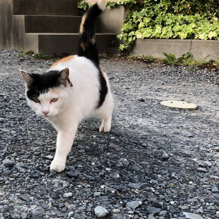 7dddc3ea ee0f 49ae 8dcd b49bea87700e 1617922738990