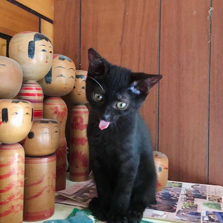 7dddd6f5 8a19 4e98 a96f af649b7257a0 1626429583454