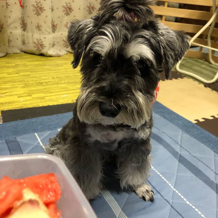 7dddd99a a518 461e a780 d72d1bbb3b83 1690984504652