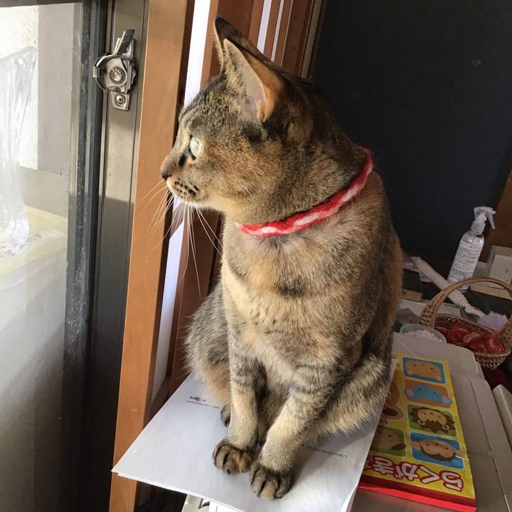 7ddded70 06b4 4a30 87ac 9bf0c73372e4 1610083483015