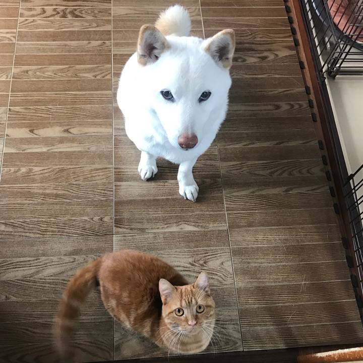 7dddf7ad 1e01 49b2 b65e f6633d042a8e 1519605789190