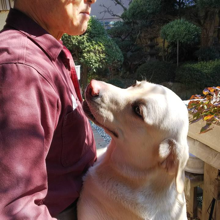 7dde0787 04ad 4ba8 ae11 95dbfe6737f3 1518835699676