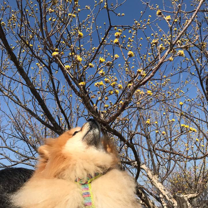 7dde4a04 e658 40aa 8779 9391db952649 1550909118068