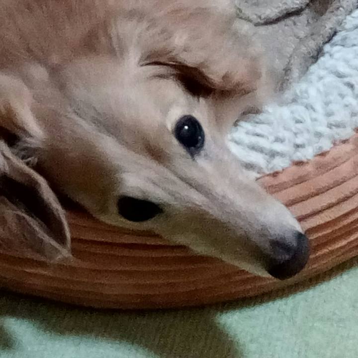 7dde6d90 bd53 4241 b99d 014ae4172304 1551624743421