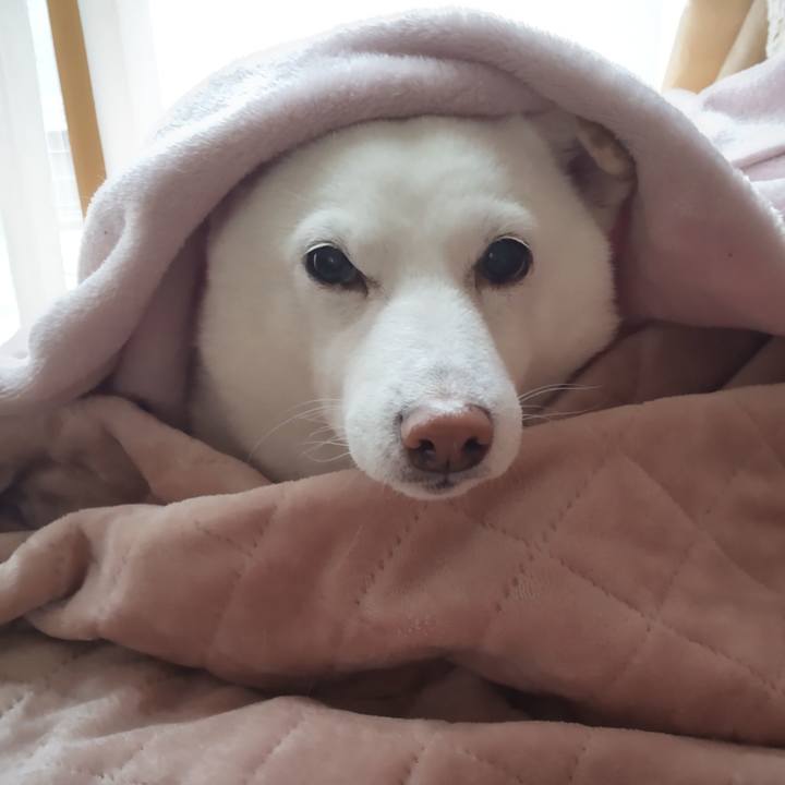 7dde8b64 0e78 4fd1 8b2d 1bb6d1a56922 1640655000563