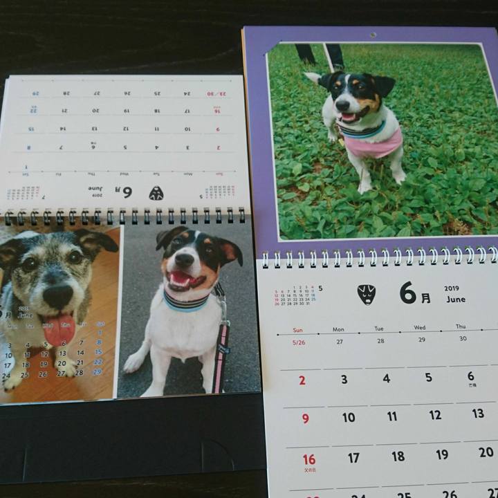 7ddee362 6a33 4c50 97e7 3259052c1c7b 1559366071731