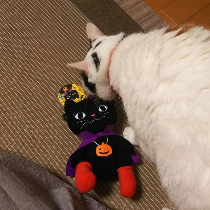 7ddeed7f 02db 4649 8f40 8b3151280eaf 1536495999843