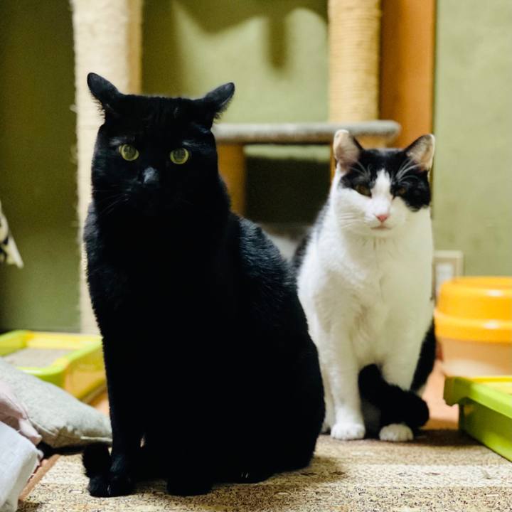 7ddef1f8 3217 446b b76a 39bf4a9d0c29 1616636594537