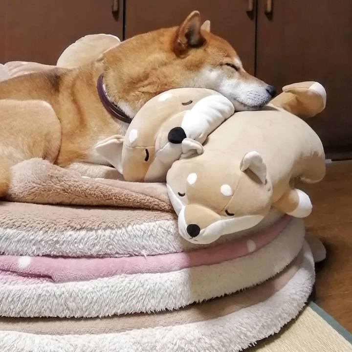 7ddf48d3 8461 4090 9059 d1cd8ad889a3 1620879203695