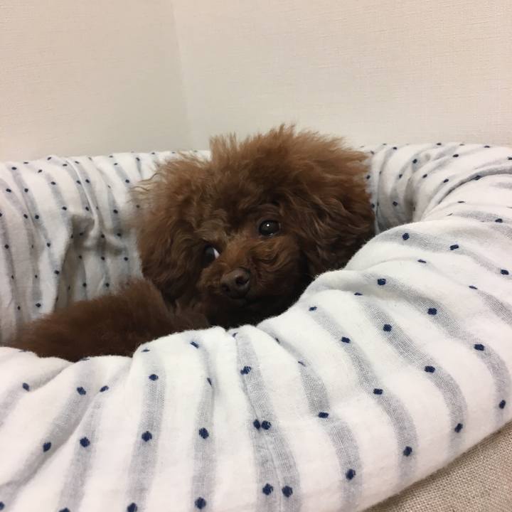 7ddf53b8 6918 448d 8adc f2aac720ca1a 1519079246203