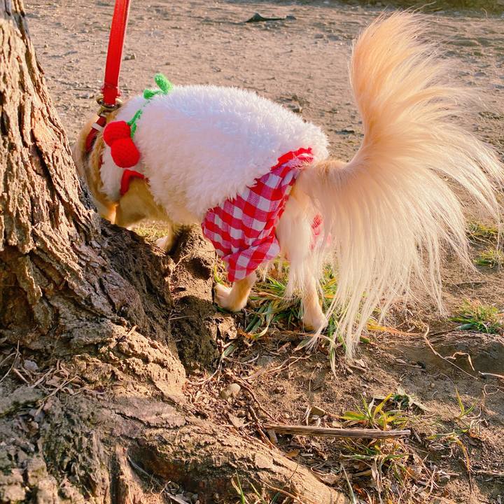 7ddf5d3d 52be 4ae7 ac23 3f356be0652f 1643707306925