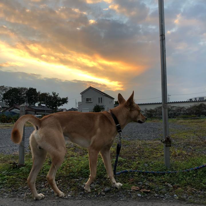 7ddf5e50 ec7f 46ee 98e1 71874277bdfd 1541930758927