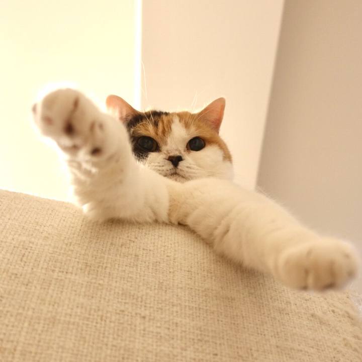 7ddf6a22 aab7 4b29 bf8b 6de3457d2d7b 1562808854721