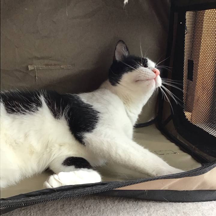 7ddfbcf3 faa4 486b 8faa b6cc28ff00f9 1719476414242