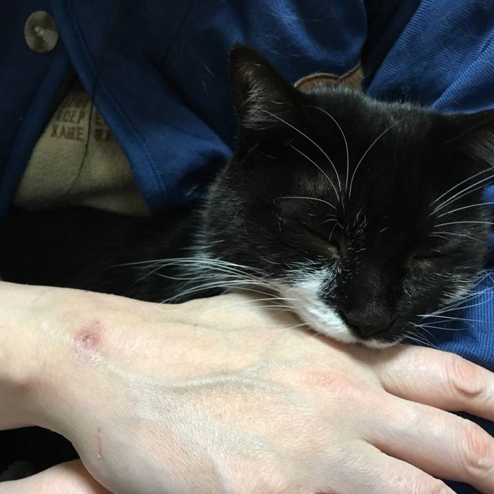 7de03dbf e441 4169 9a2d 68e6e1fabc41 1514640841602