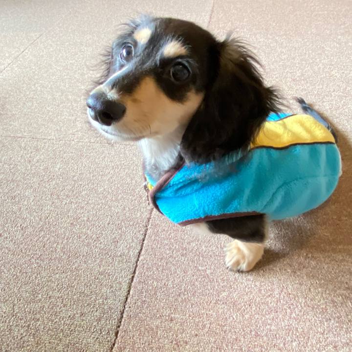 7de05a5d 4df8 4c99 a6bc 9a3ff0e5b041 1670897618213