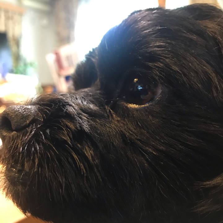 7de06654 519b 416b 8e0a b531ccd9750a 1559998954452