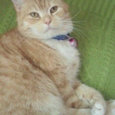 7de08317 4e11 469a b876 3815f25fc993 1547134928243