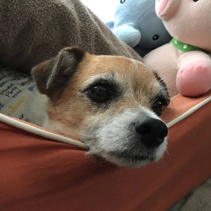 7de09212 71bb 45ae b203 fcb8f772c93e 1590133992353